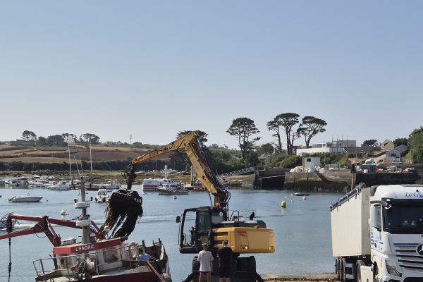 Harvest vessel L'Enoric unloading at Lanildut harbour