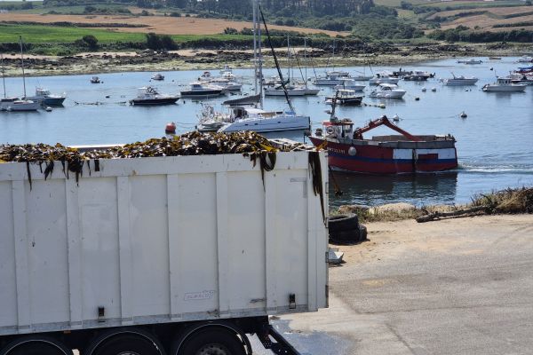 Loaded truck ready to depart from Lanildut, 60 tonnes of kelp
