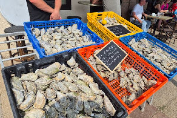 Fresh oysters graded and priced on the pavement in Brittany
